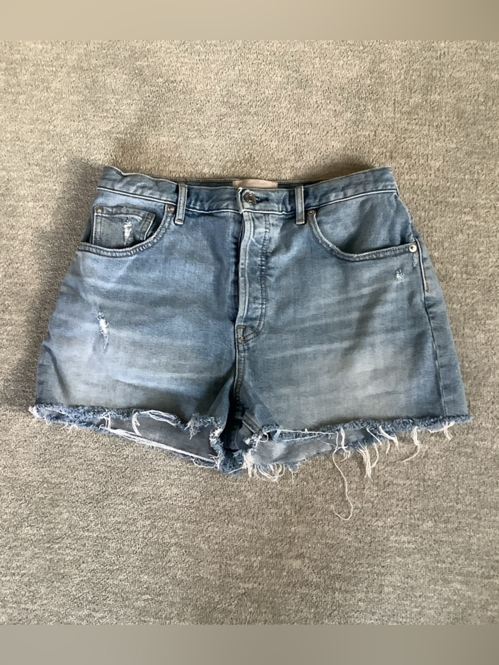 Everlane “The Cheeky Short” Distressed Denim Cutoffs Sz. 30